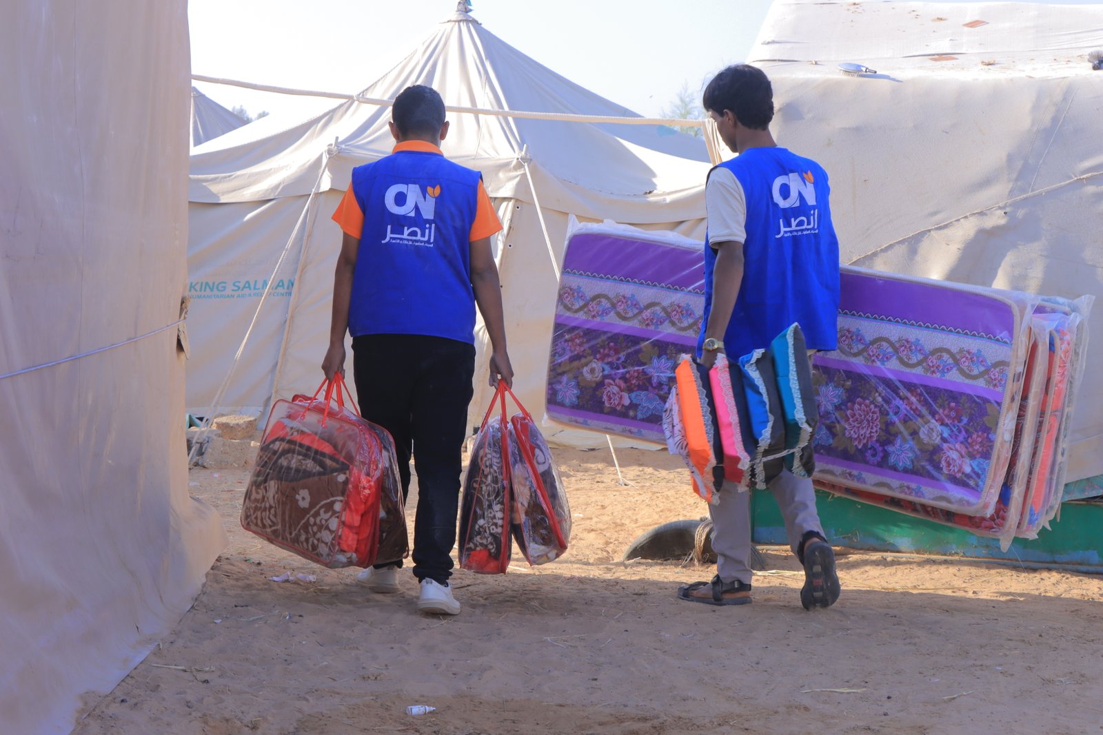 قطاع المأوى والمواد غير الغذائية